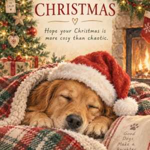 Personalised Cosy Christmas Dog By The Fire Card - A5 or A4